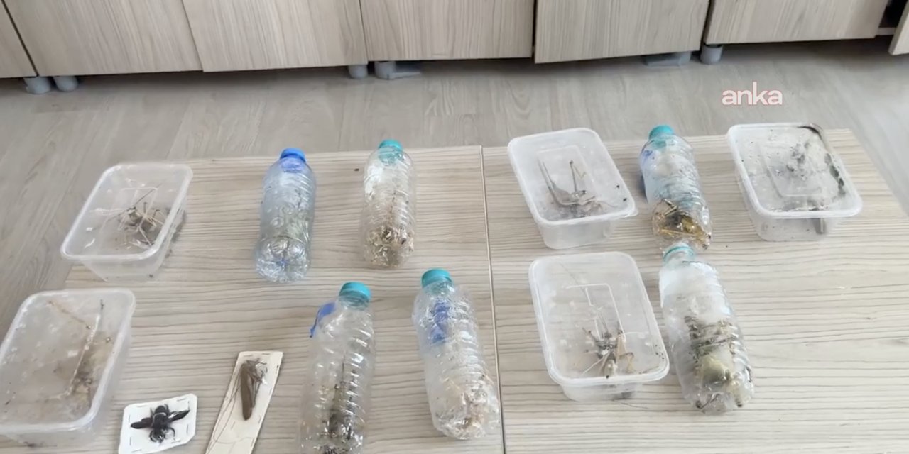 Adıyaman'da izinsiz şekilde tür toplamaya para cezası