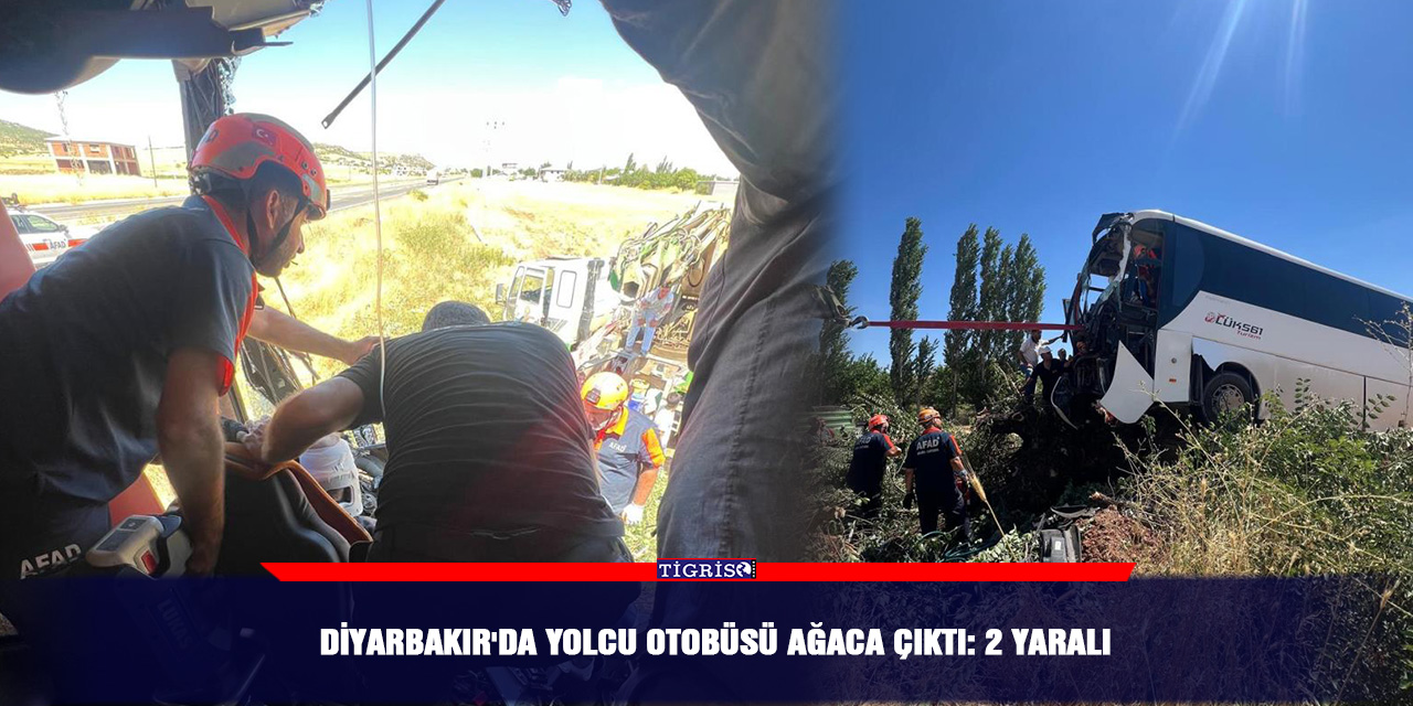 Diyarbakır'da yolcu otobüsü ağaca çıktı: 2 yaralı