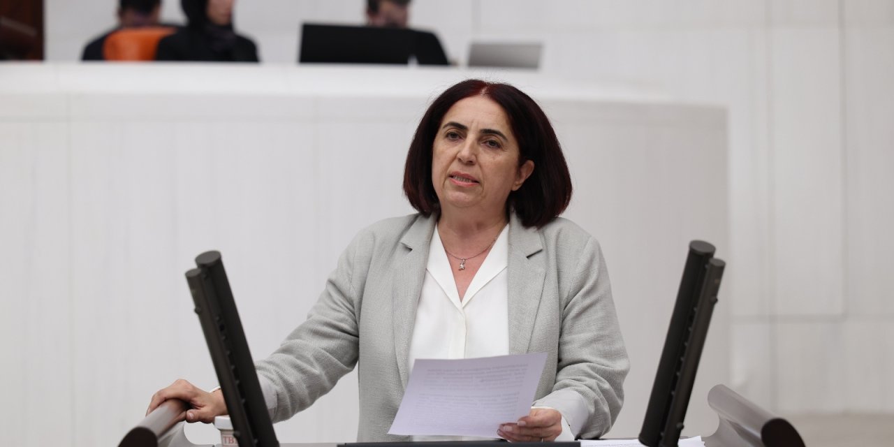 Narin Güran davası Meclis gündeminde: DEM Parti’den araştırma önergesi