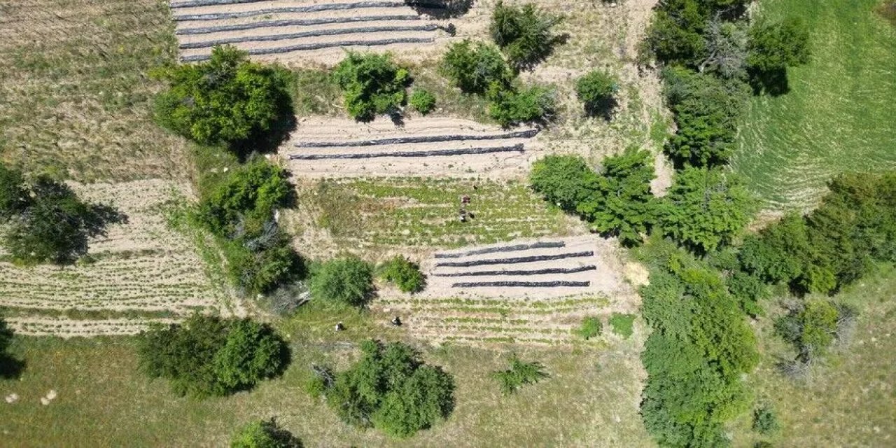 Orman köylülerine 1,9 milyar liralık destek