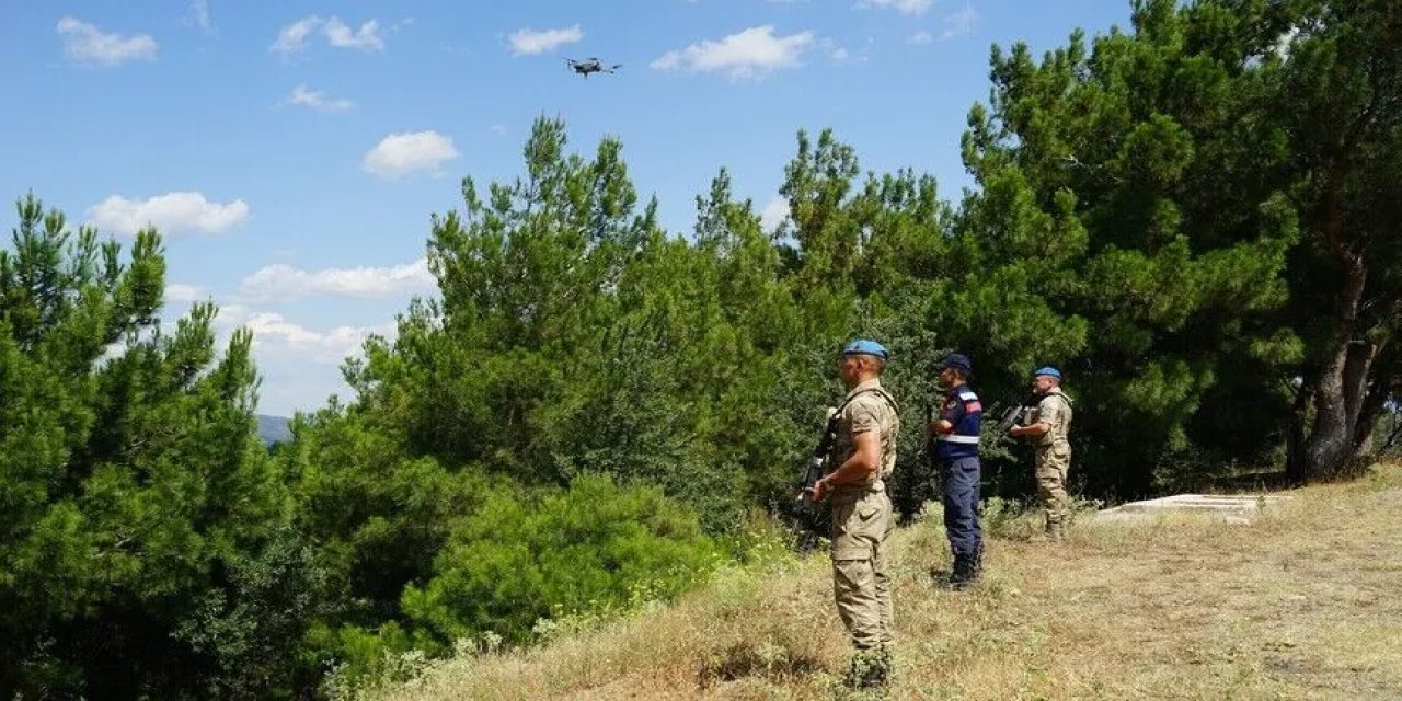 Orman yangınlarında 993 kişiye idari işlem