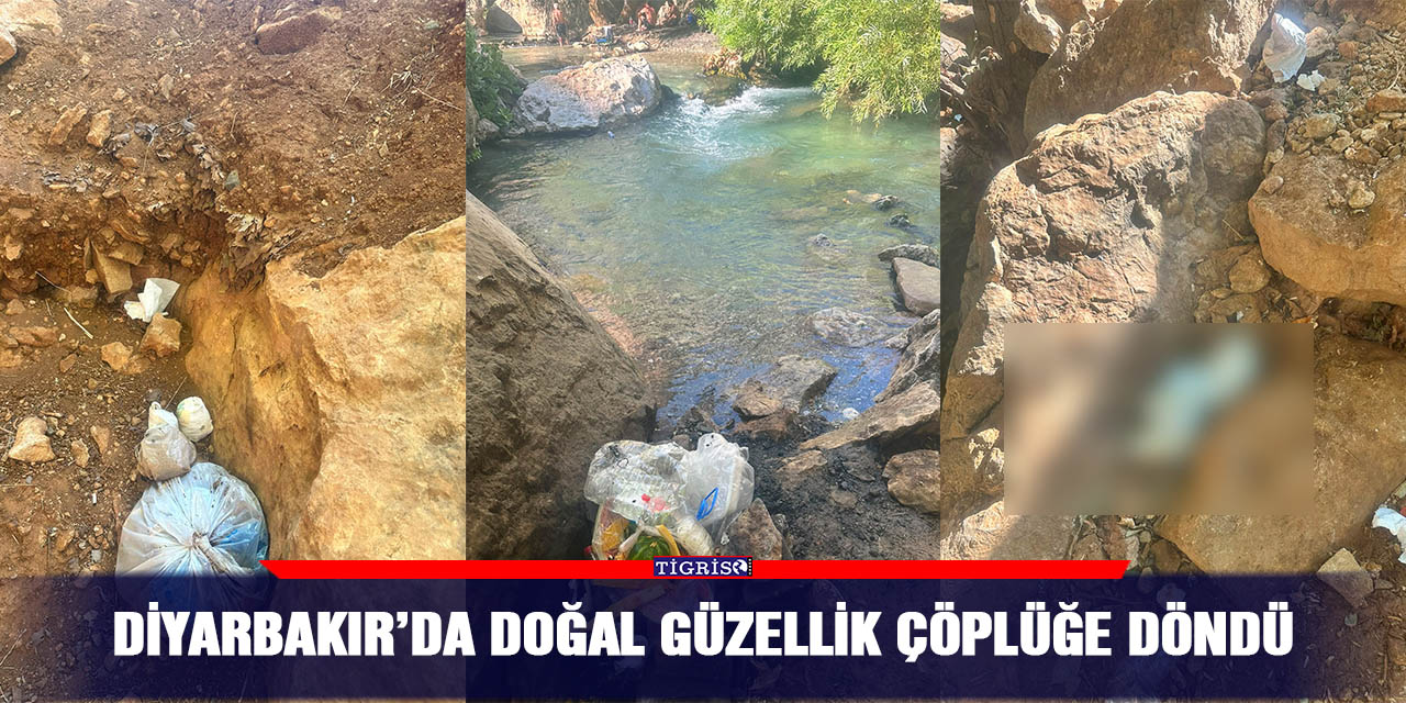 Diyarbakır’da doğal güzellik çöplüğe döndü