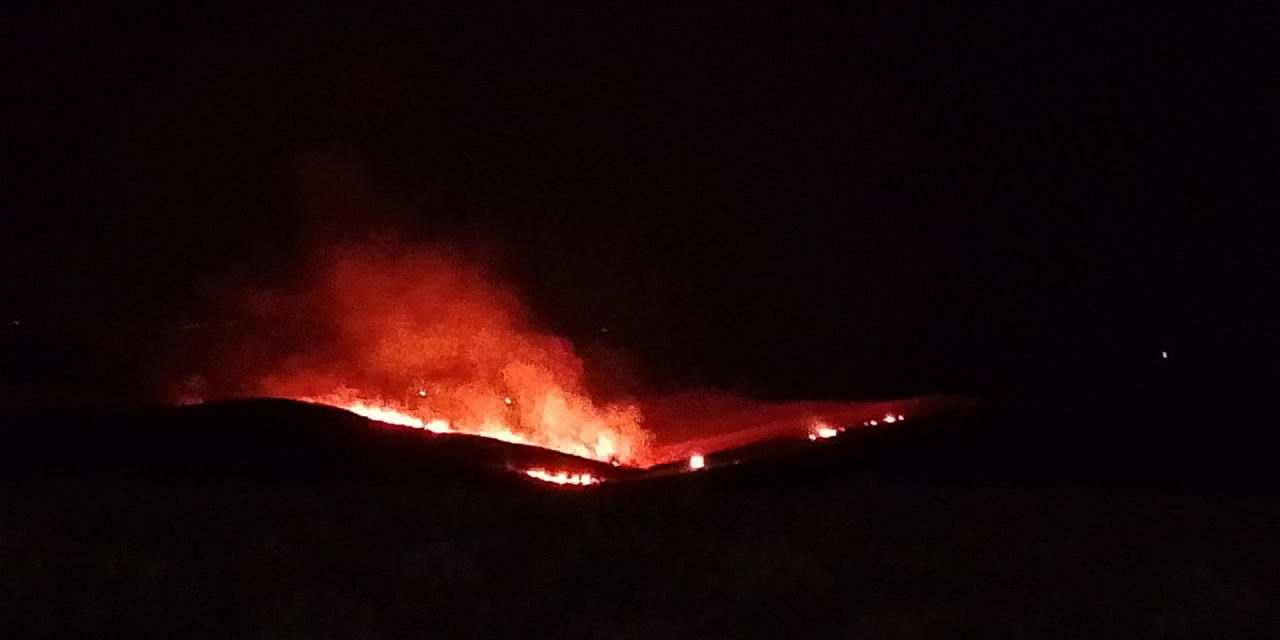 Diyarbakır’da anız ve örtü yangını