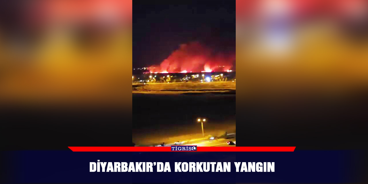 Diyarbakır’da korkutan yangın