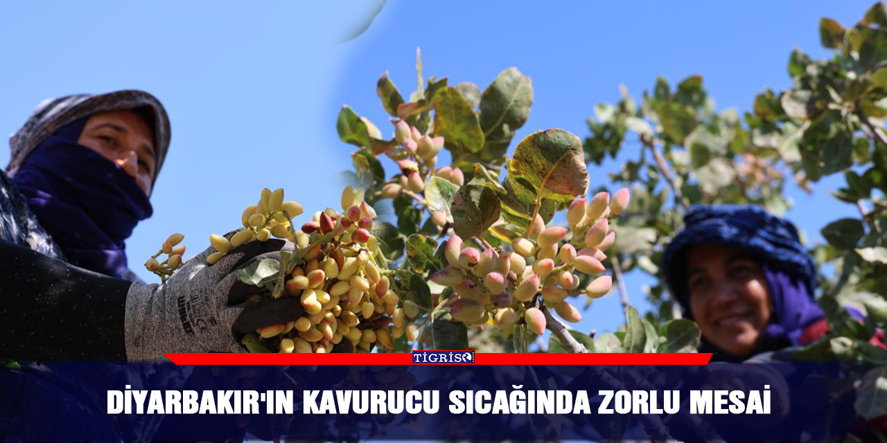 Diyarbakır'ın kavurucu sıcağında zorlu mesai