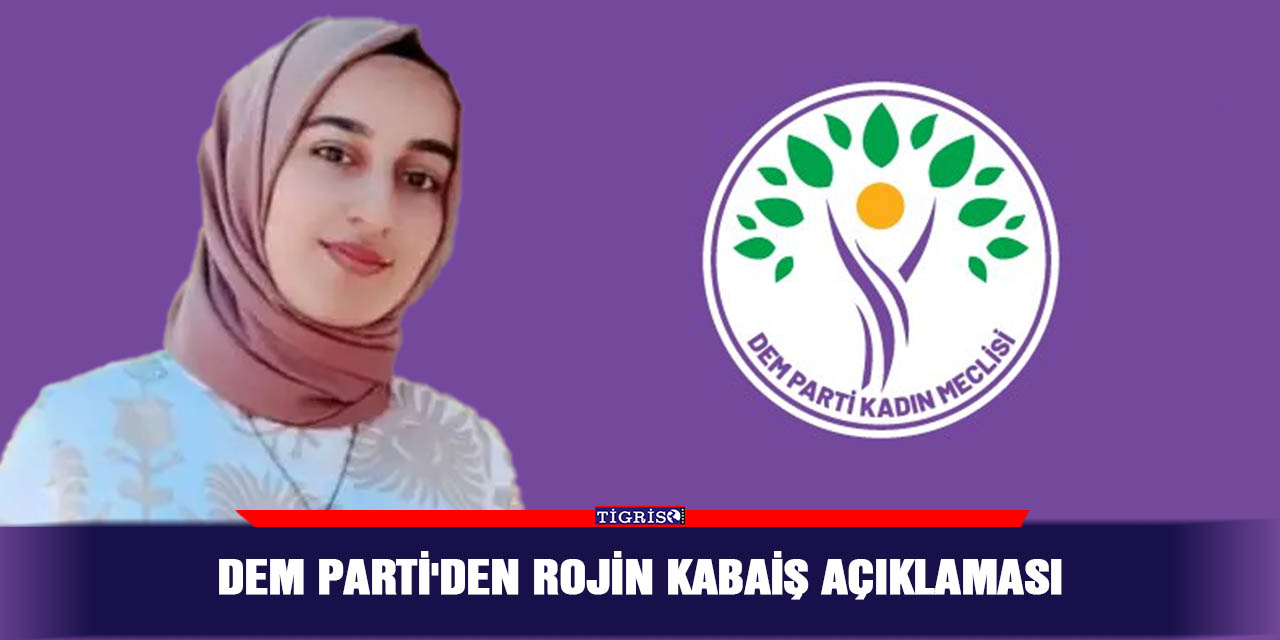 DEM Parti'den Rojin Kabaiş açıklaması