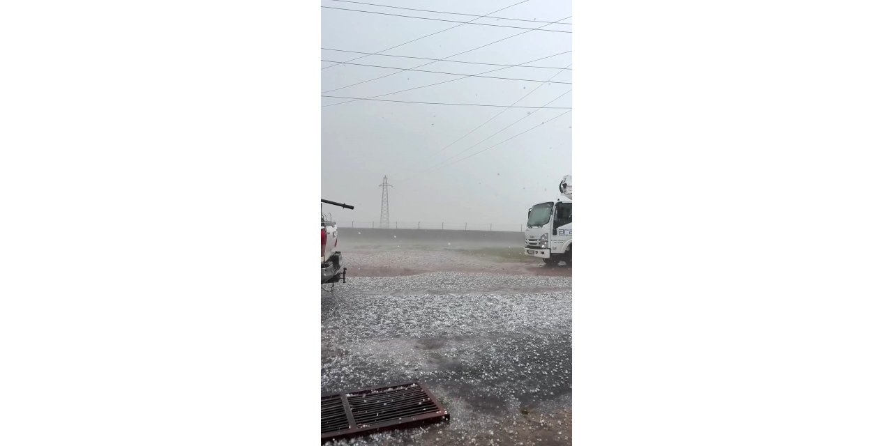 Ardahan'da dolu yağışı etkili oldu