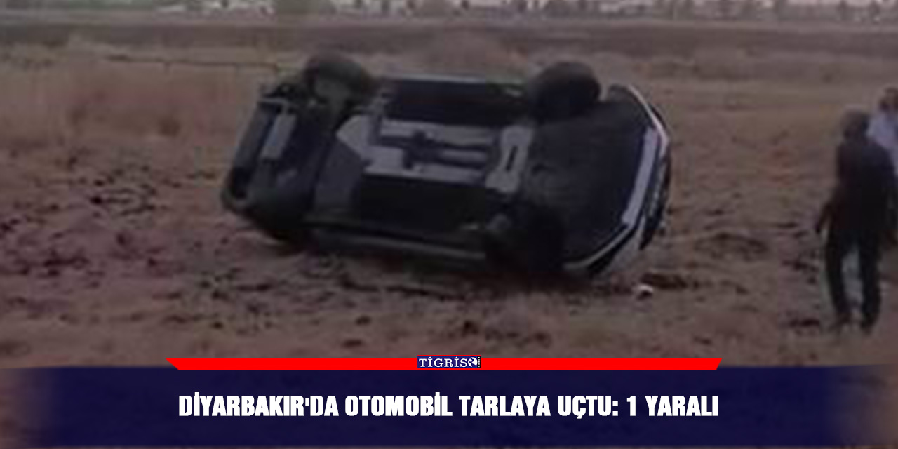 Diyarbakır'da otomobil tarlaya uçtu: 1 yaralı