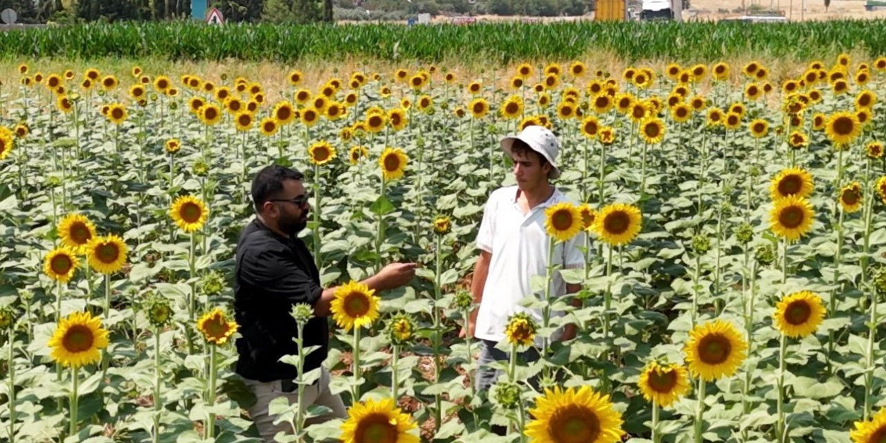 GAP sulaması Şanlıurfa’da tarımı değiştirdi: Ürün çeşitliliği arttı