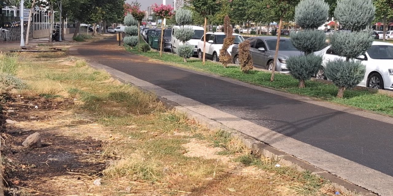 Diyarbakır’da kısa süreli yağmur, turistlere serinlik molası