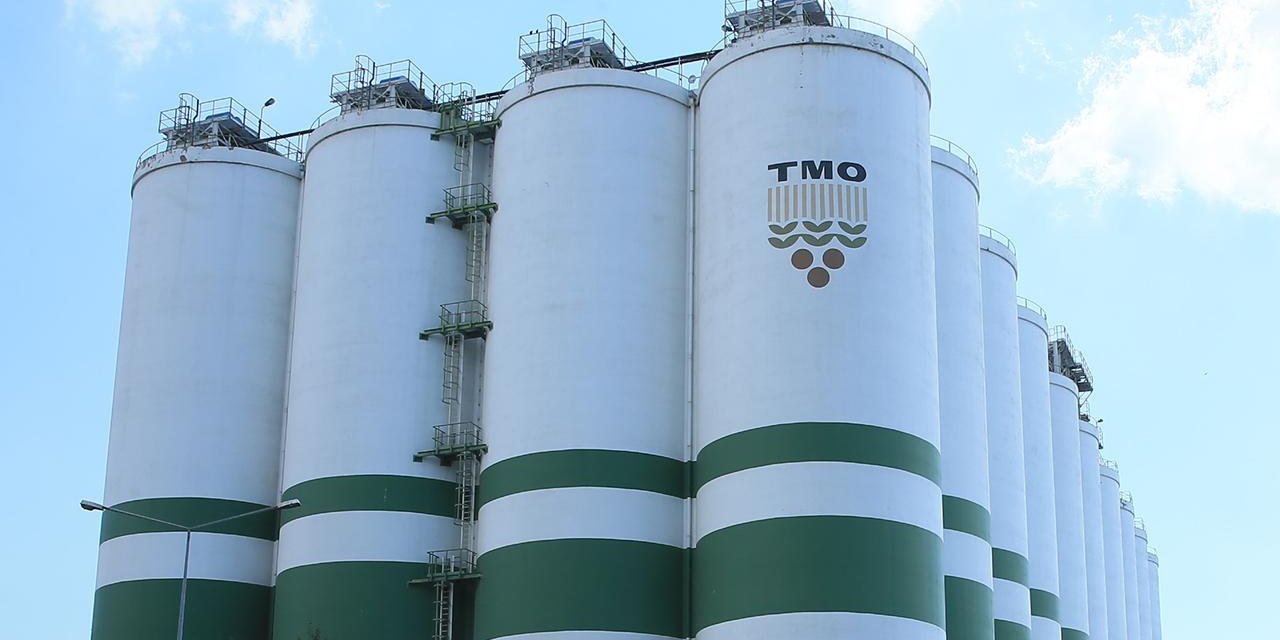 TMO, buğday satışına yarın başlıyor