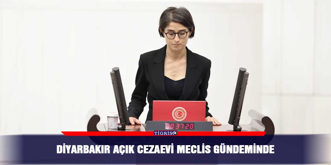 Diyarbakır açık cezaevi Meclis gündeminde