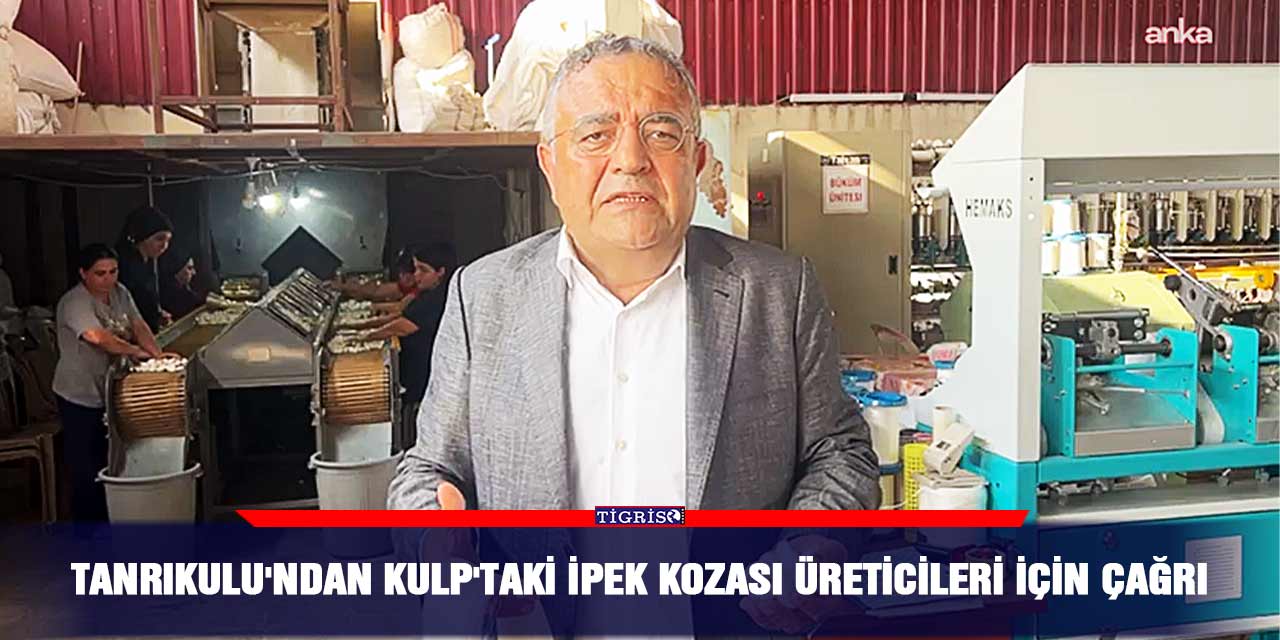 Tanrıkulu'ndan Kulp'taki ipek kozası üreticileri için çağrı