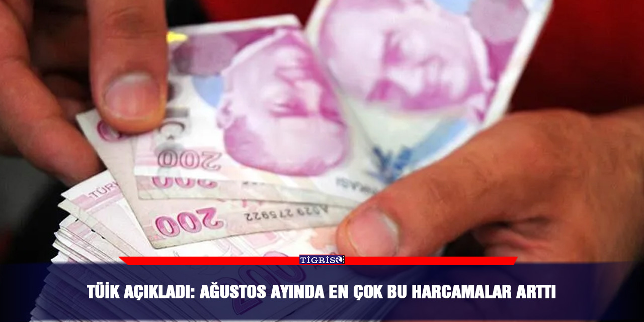 TÜİK açıkladı: Ağustos ayında en çok bu harcamalar arttı