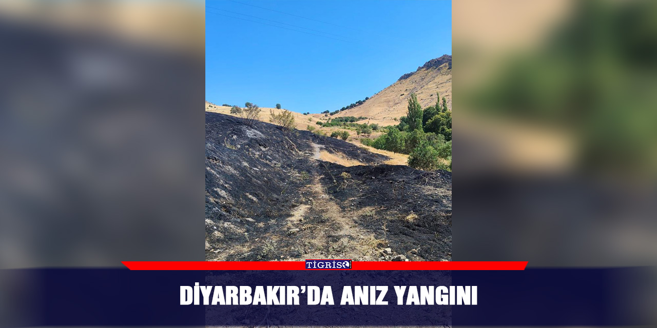 Diyarbakır’da anız yangını
