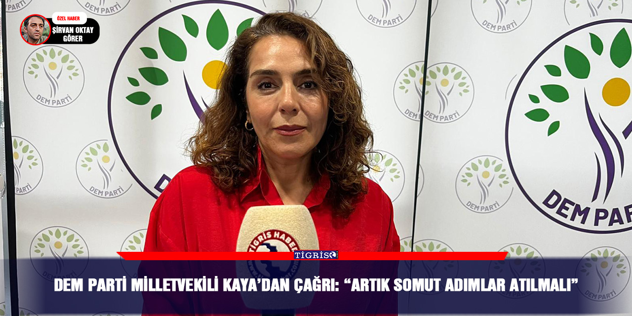 DEM Parti Milletvekili Kaya’dan çağrı: “Artık somut adımlar atılmalı”