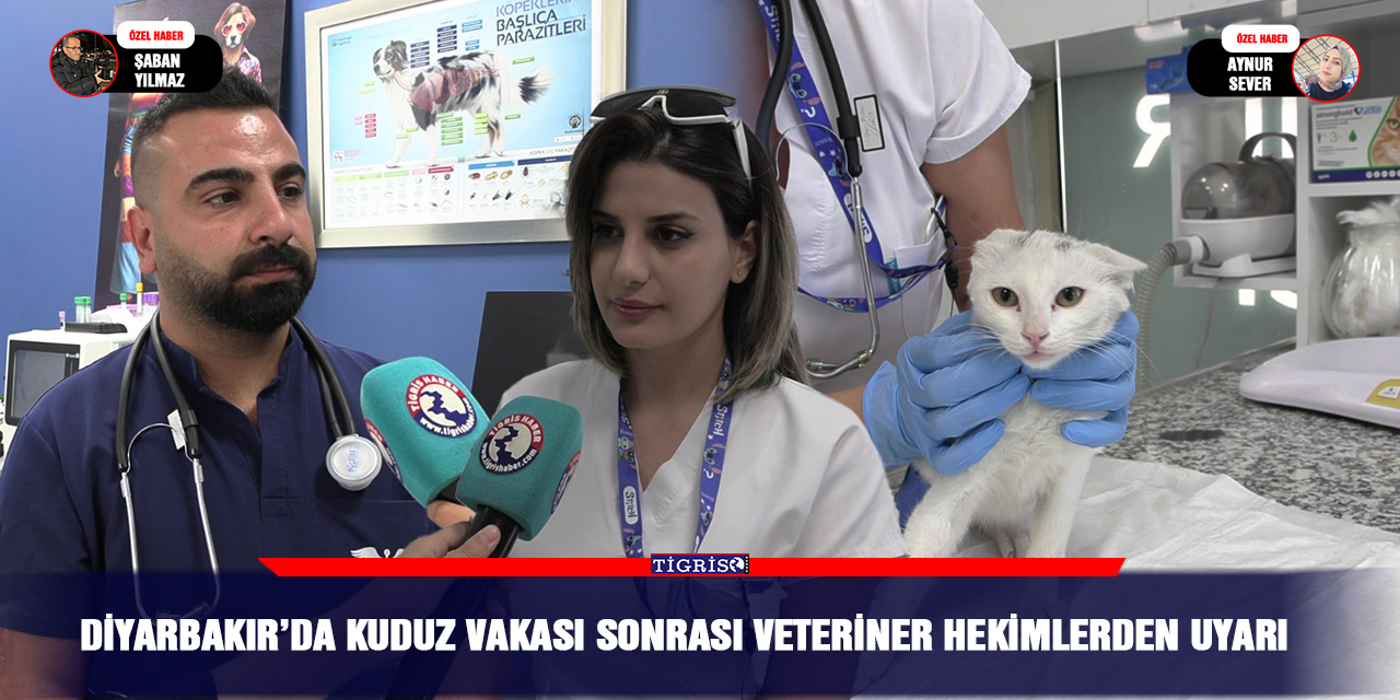 Diyarbakır’da kuduz vakası sonrası veteriner hekimlerden uyarı