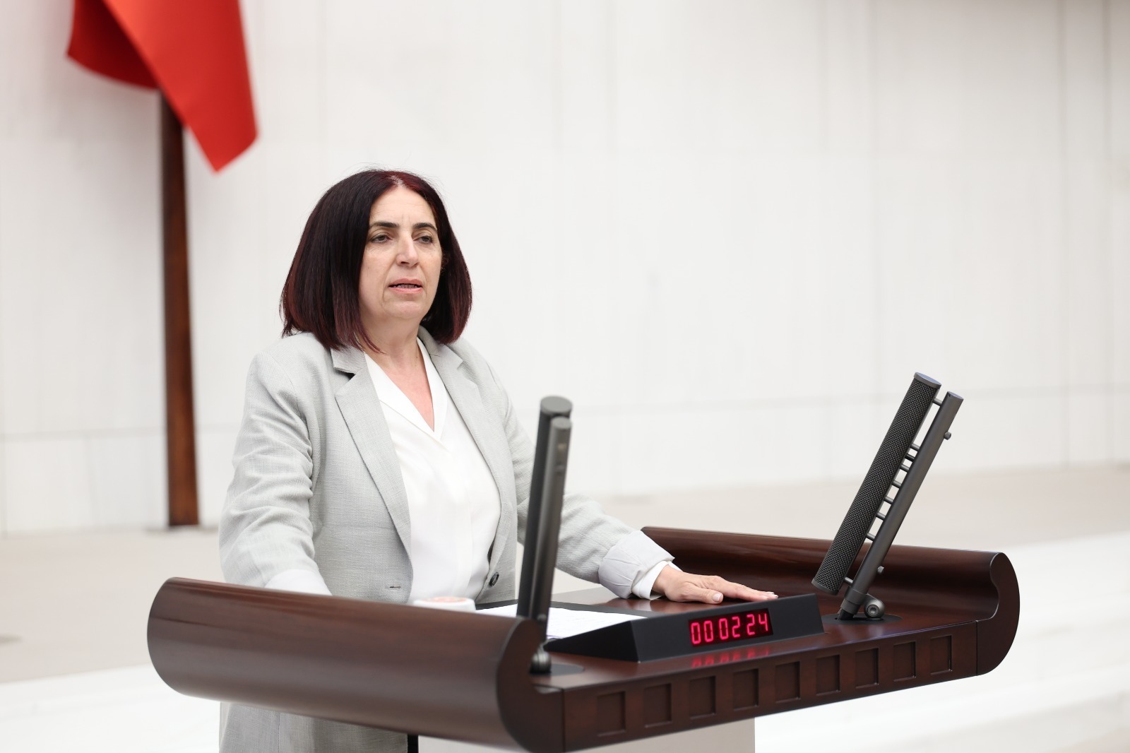 Sevilay Çelenk İliç faciasını Meclis gündemine taşıdı