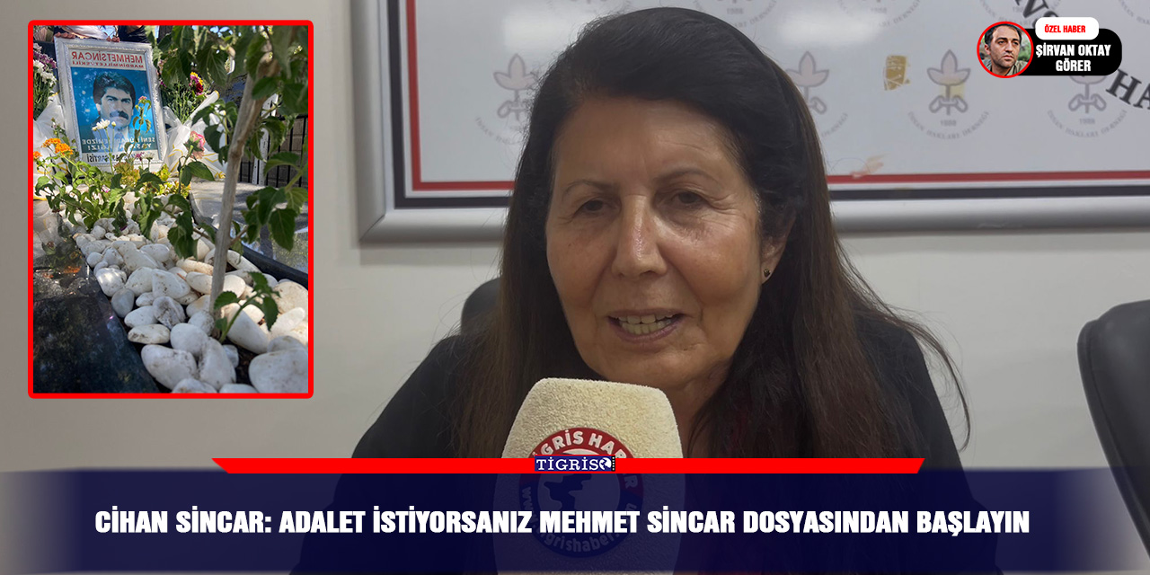 Cihan Sincar: Adalet istiyorsanız Mehmet Sincar dosyasından başlayın