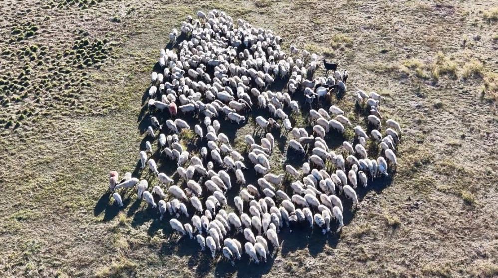 150 bin lira maaş, sıfır talip!