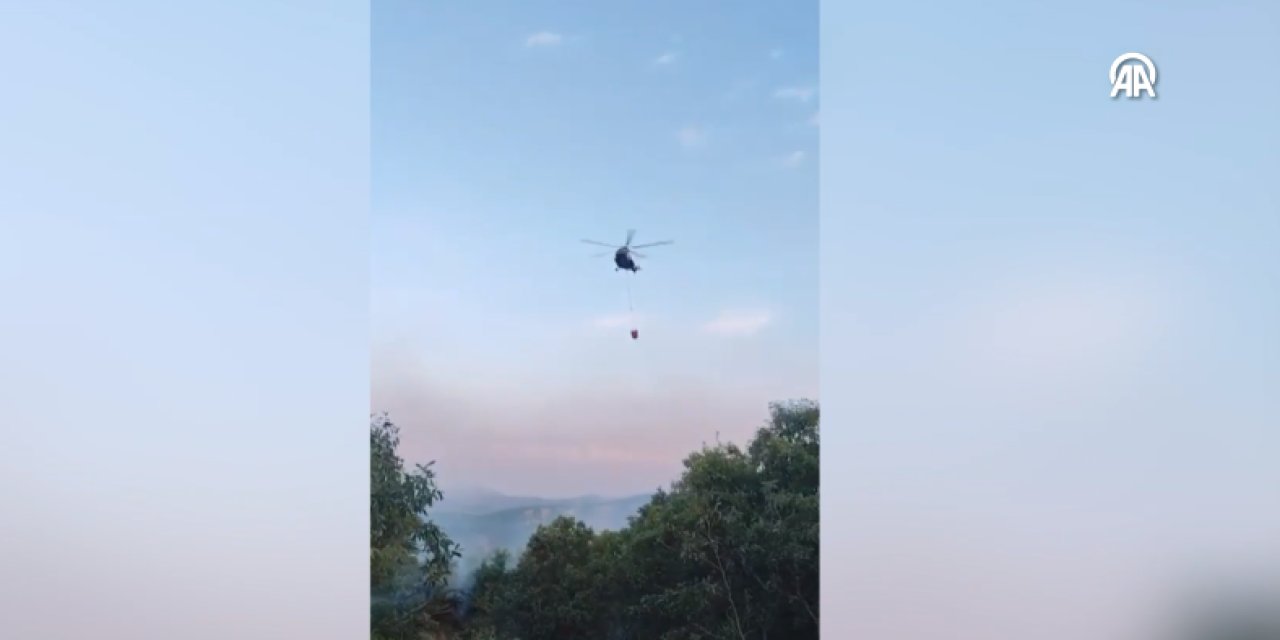 Bingöl’de çıkan orman yangını kontrol altına alındı