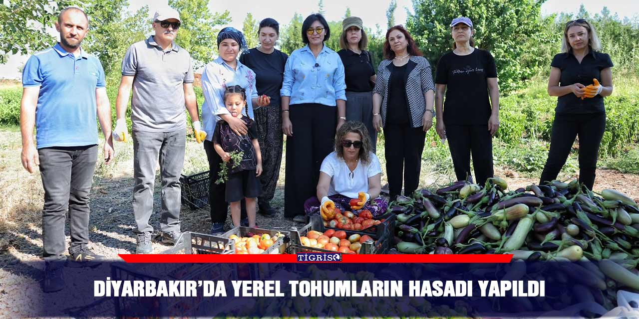 Diyarbakır’da yerel tohumların hasadı yapıldı