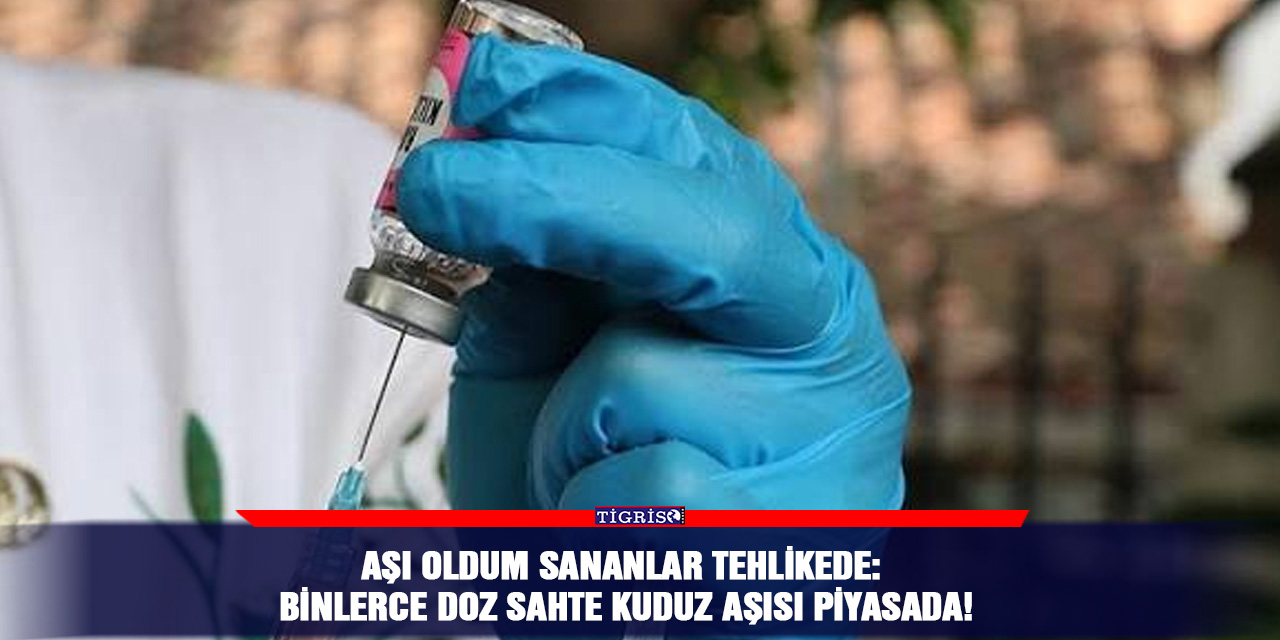 Aşı oldum sananlar tehlikede: Binlerce doz sahte kuduz aşısı piyasada