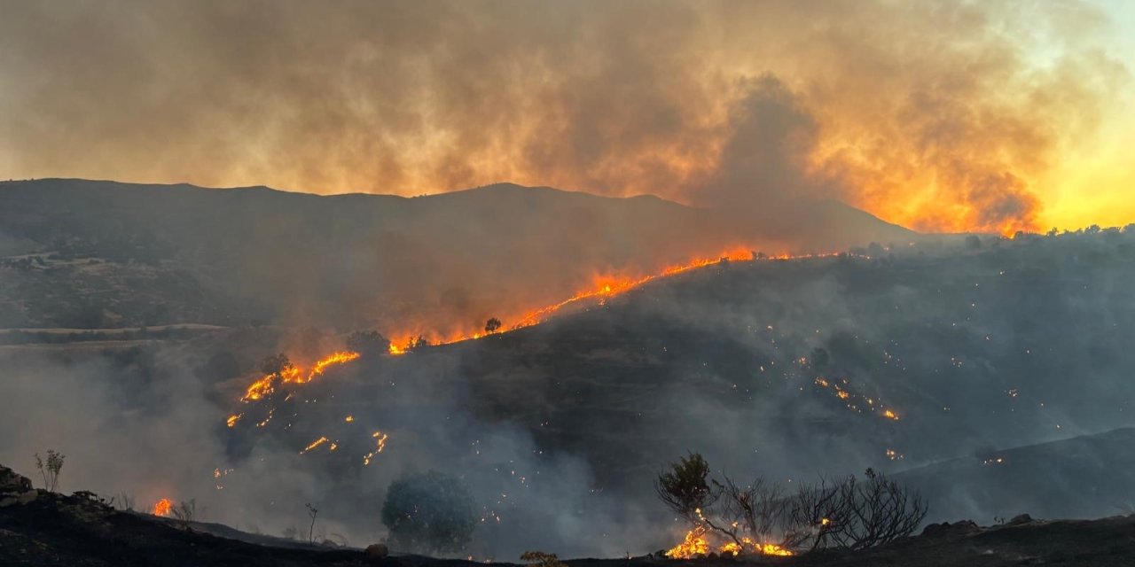 Siirt’te korkutan yangın