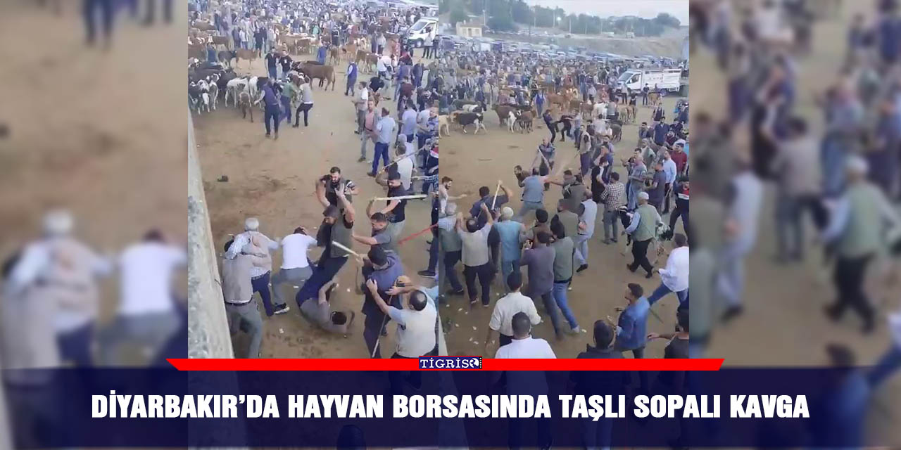 Diyarbakır’da hayvan borsasında taşlı sopalı kavga