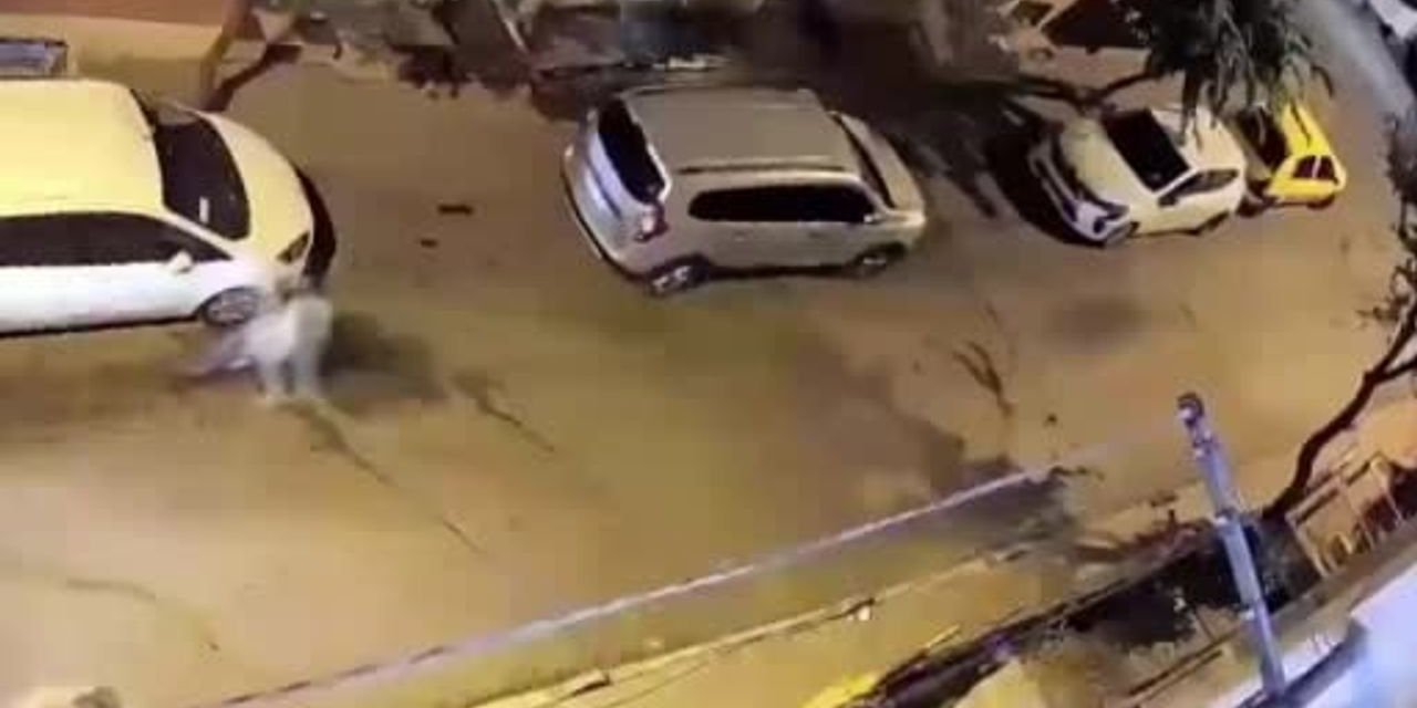 Polisten kaçtı, ters yöne girdi: 326 bin TL ceza kesildi
