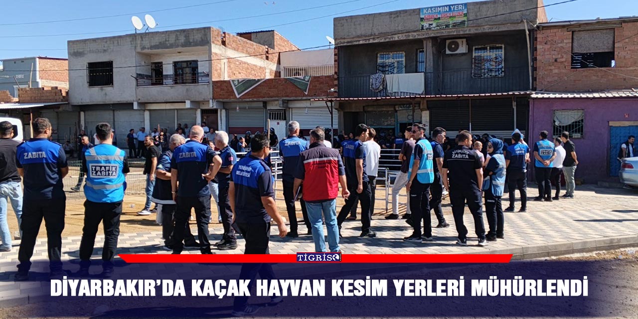 Diyarbakır’da kaçak hayvan kesim yerleri mühürlendi