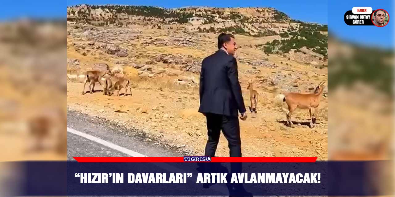 “Hızır’ın davarları” artık avlanmayacak!