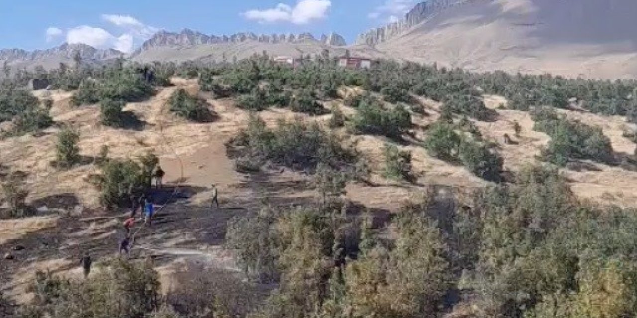 Beytüşşebap'ta orman yangını