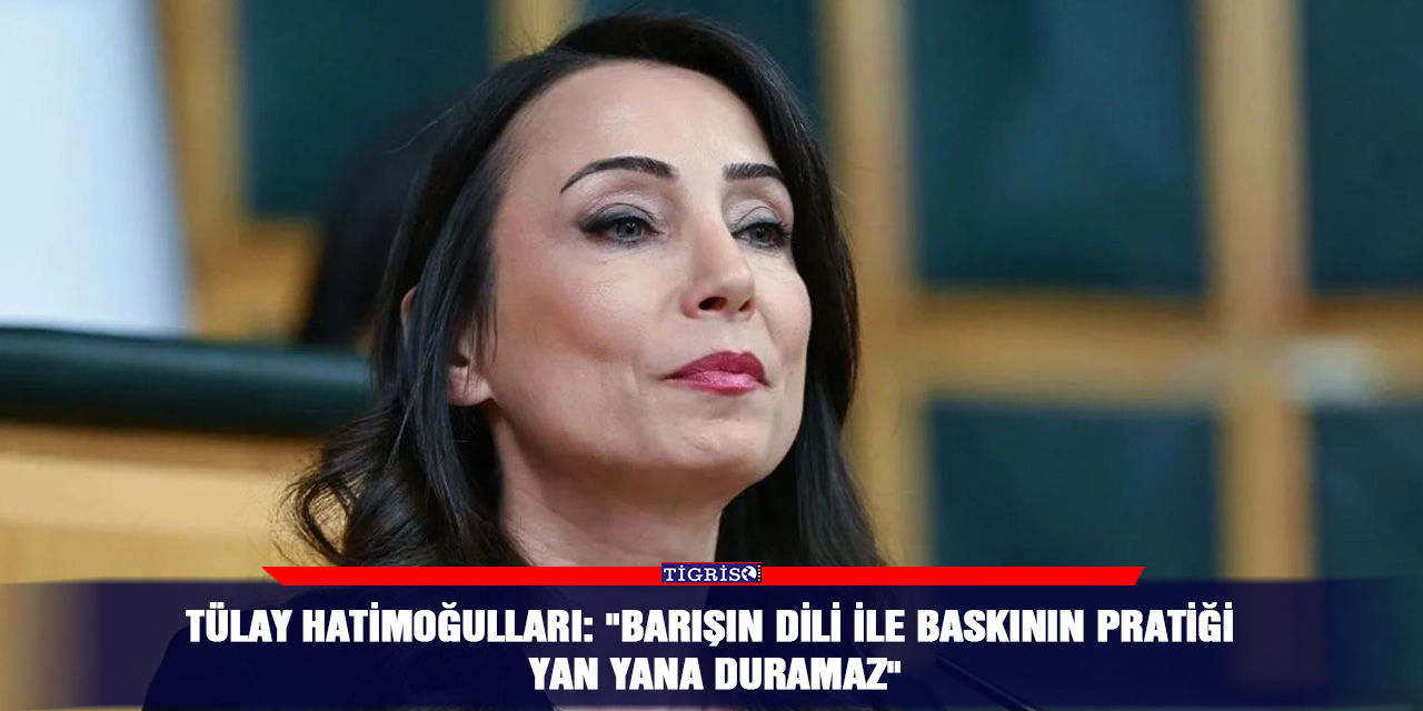 Tülay Hatimoğulları: "Barışın dili ile baskının pratiği yan yana duramaz"