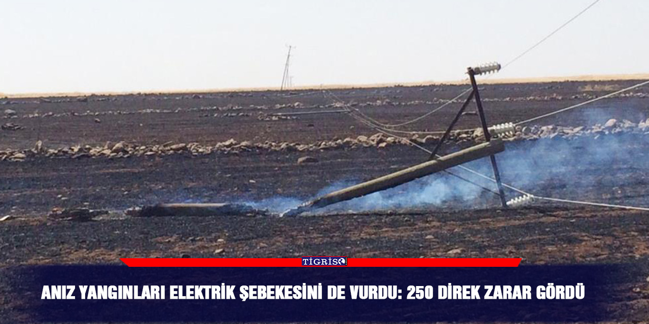 Anız yangınları elektrik şebekesini de vurdu: 250 direk zarar gördü