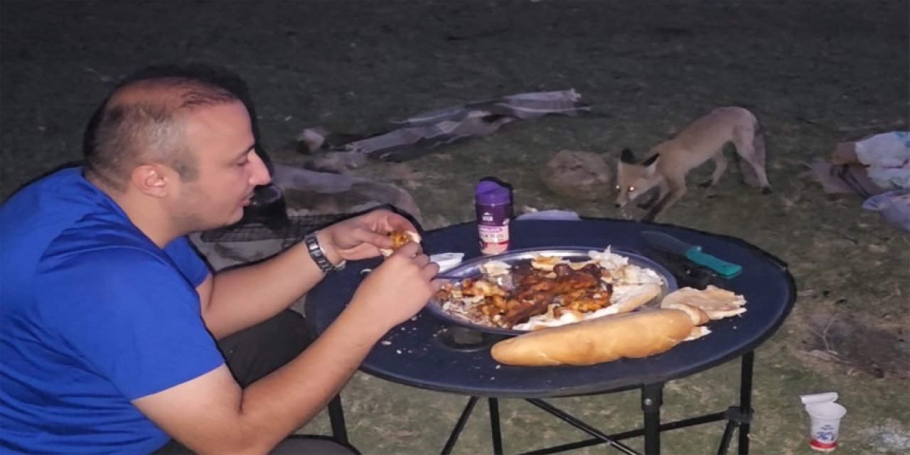 Bitlis’te piknik sofrasına davetsiz misafir