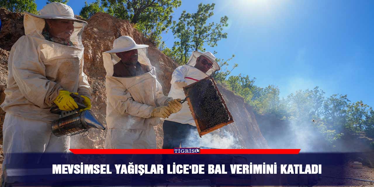 Mevsimsel yağışlar Lice'de bal verimini katladı