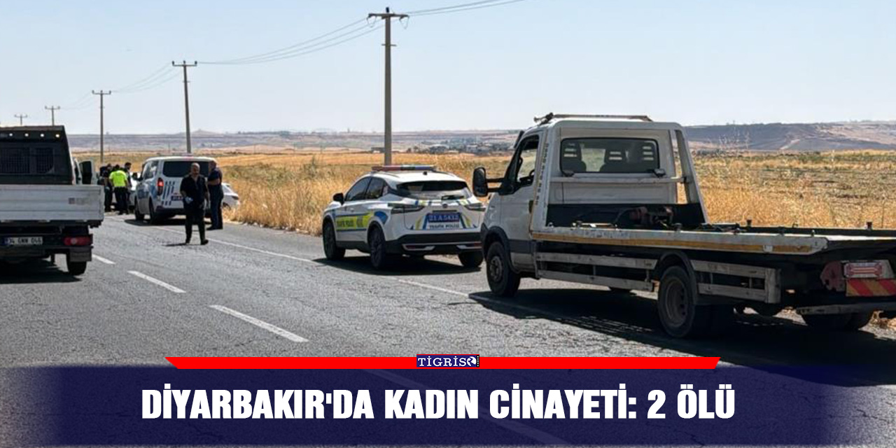 Diyarbakır'da kadın cinayeti: 2 ölü