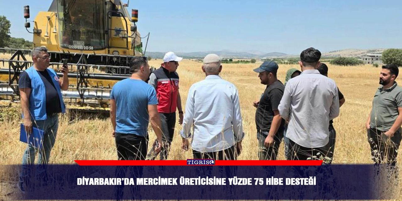 Diyarbakır’da mercimek üreticisine yüzde 75 hibe desteği