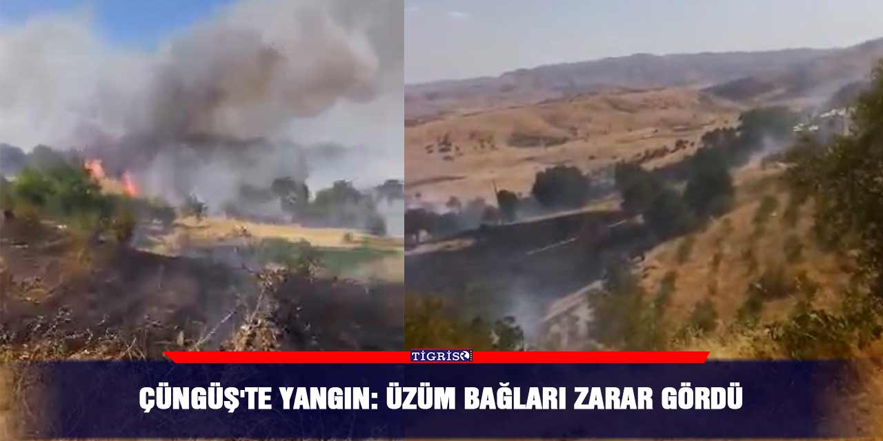 Çüngüş'te yangın: Üzüm bağları zarar gördü
