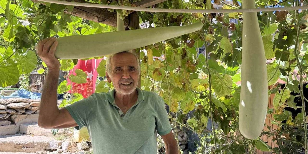 Antalya’da 96 santimetrelik su kabağı şaşkınlığı