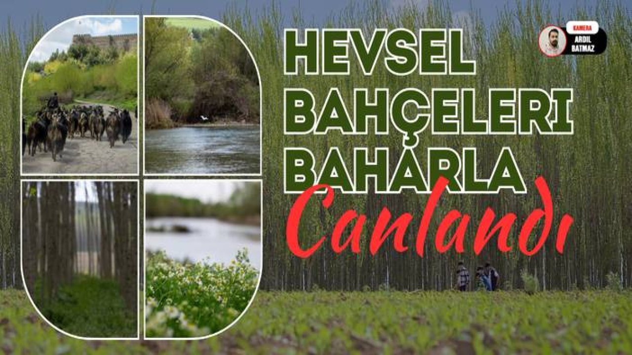 Hevsel Bahçeleri baharla canlandı