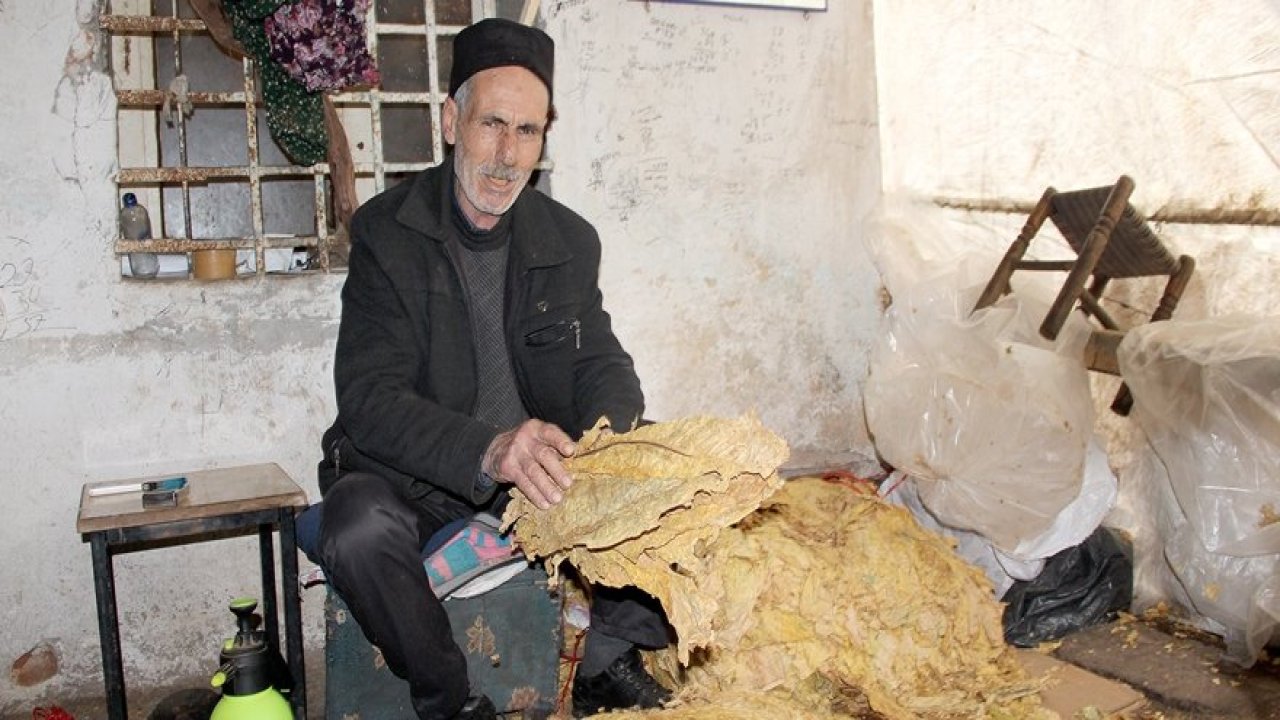 Helhel’den Sur’a tütün içinde bir hayat