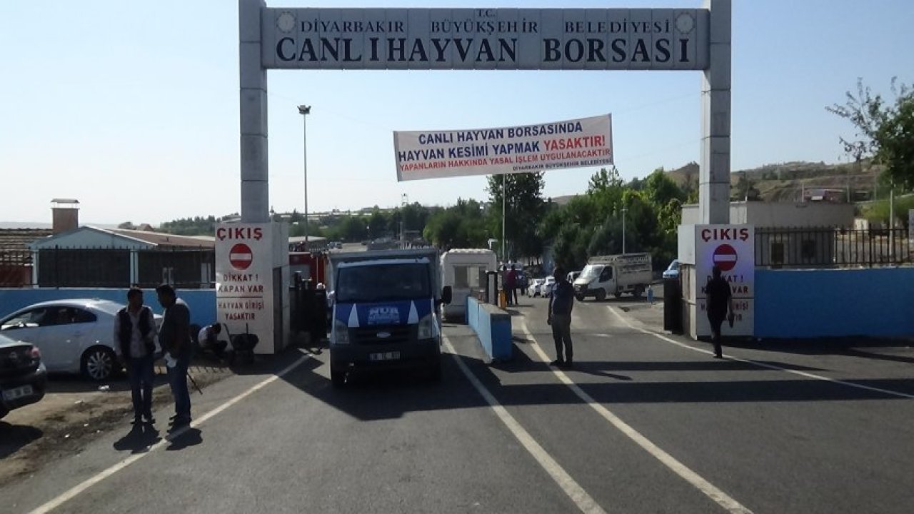 Diyarbakır Canlı Hayvan Borsası açıldı