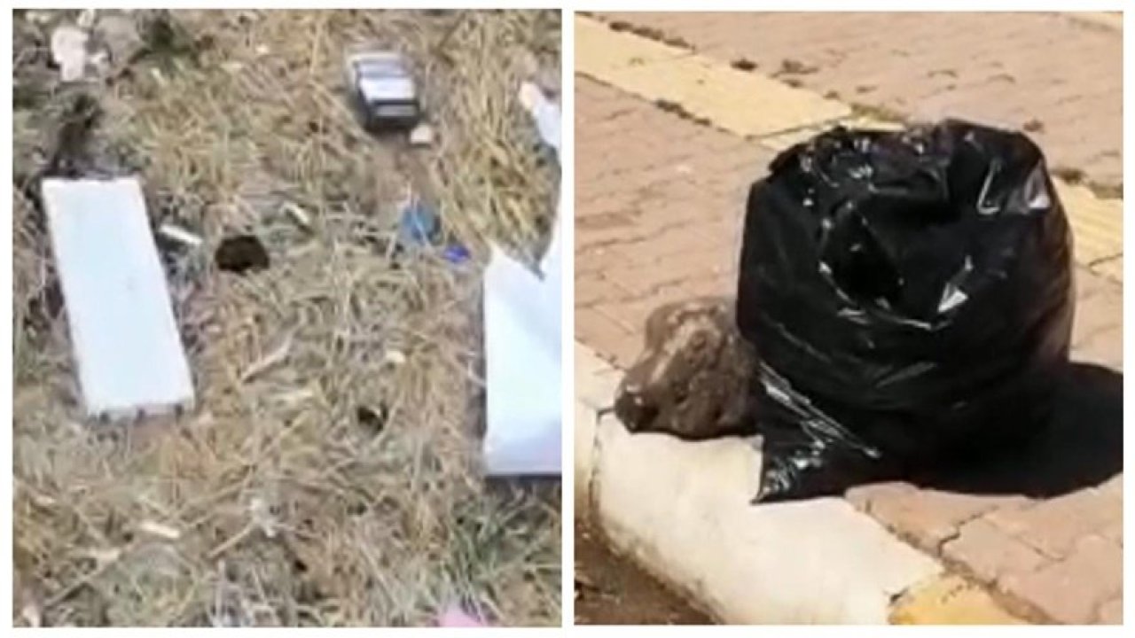 Kayapınar çöplükten geçilmiyor!