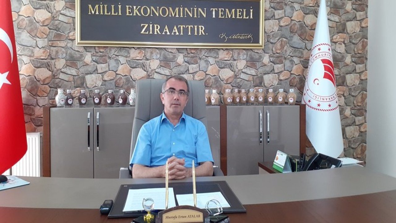 İpeğe kadın eli değince