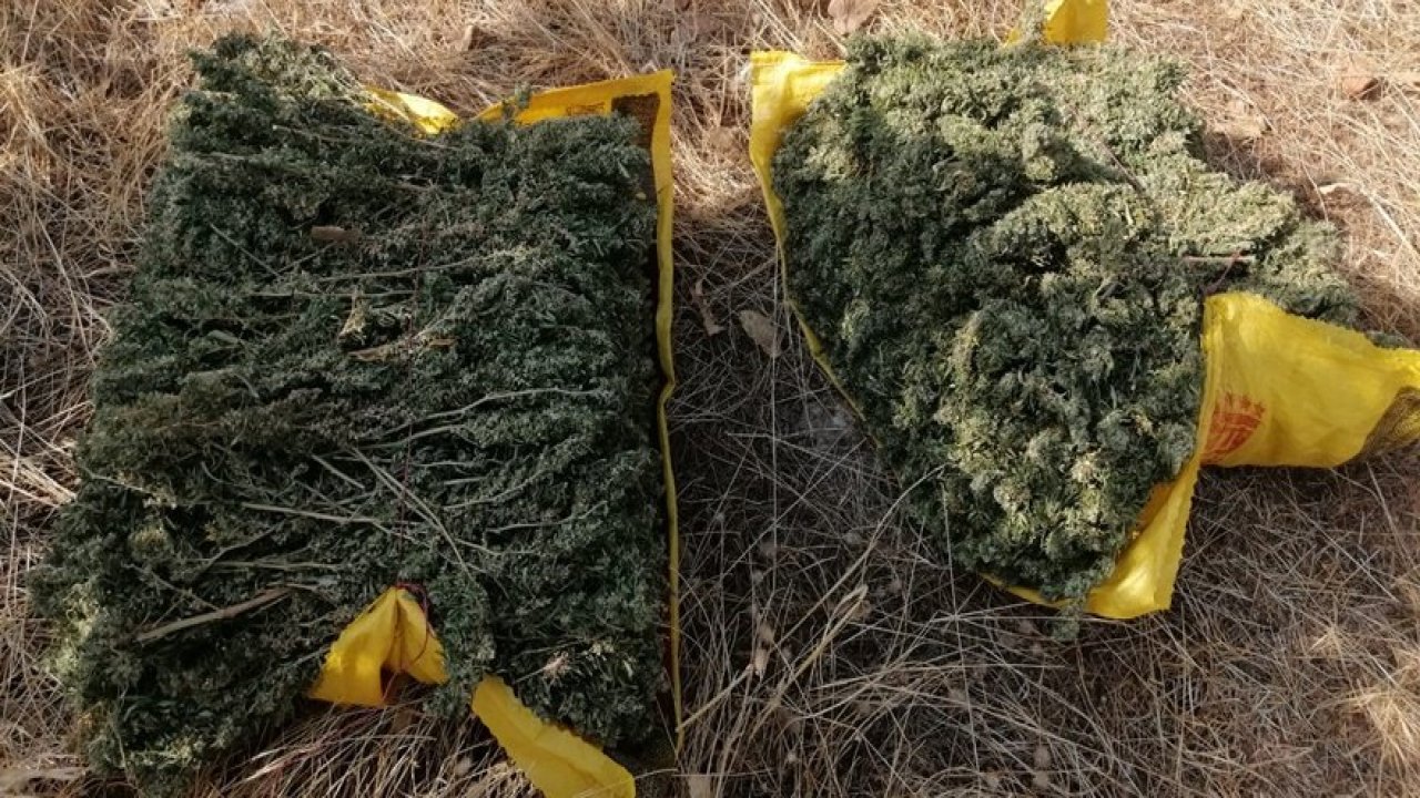 Diyarbakır'da uyuşturucu operasyonu sürüyor