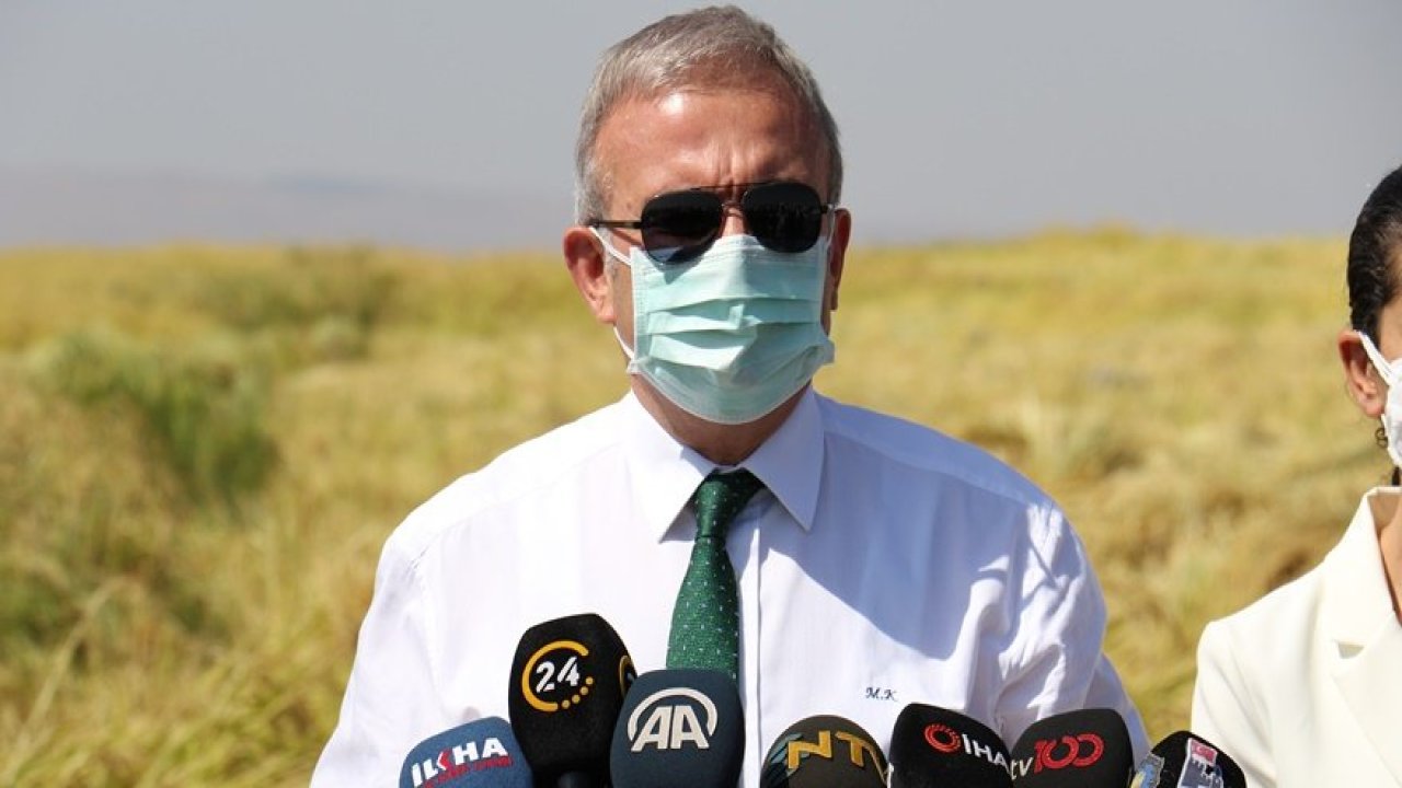 Diyarbakır Valisi, Karacadağ Pirinci hasadını başlattı