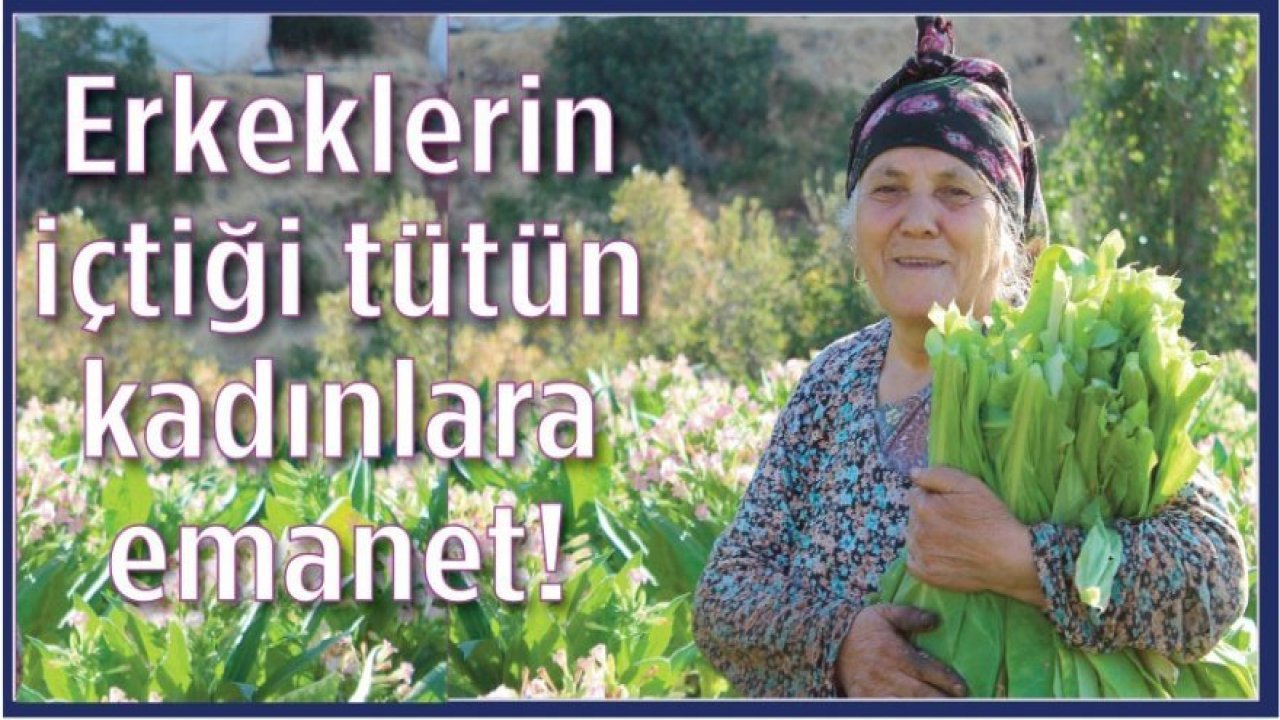 Erkeklerin içtiği tütün kadınlara emanet!