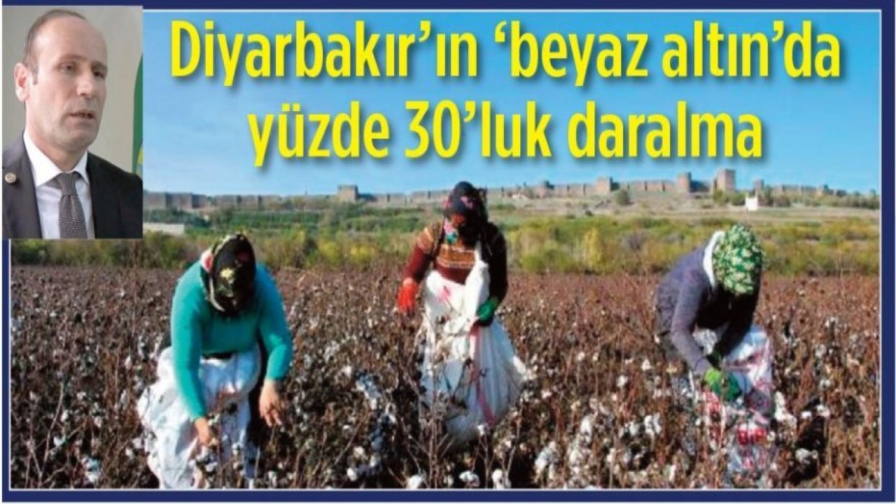 Diyarbakır’ın 'Beyaz Altın'ında yüzde 30’luk daralma